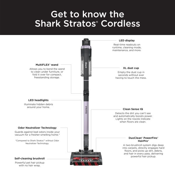 cordless lamp